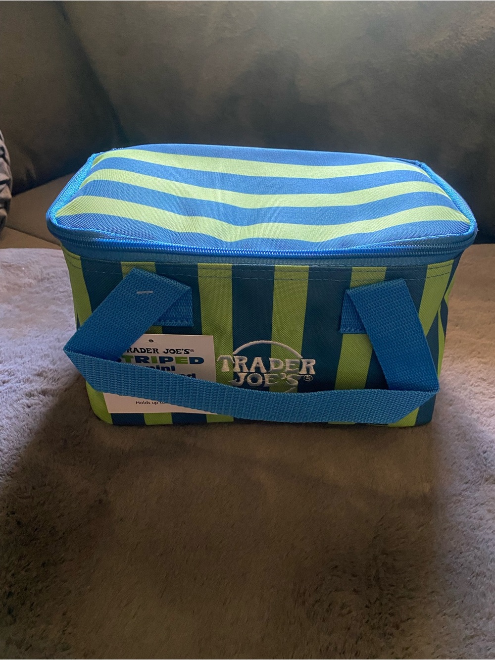 Trader Joe's Blue and Green Striped Insulated Lunch Cooler Bag